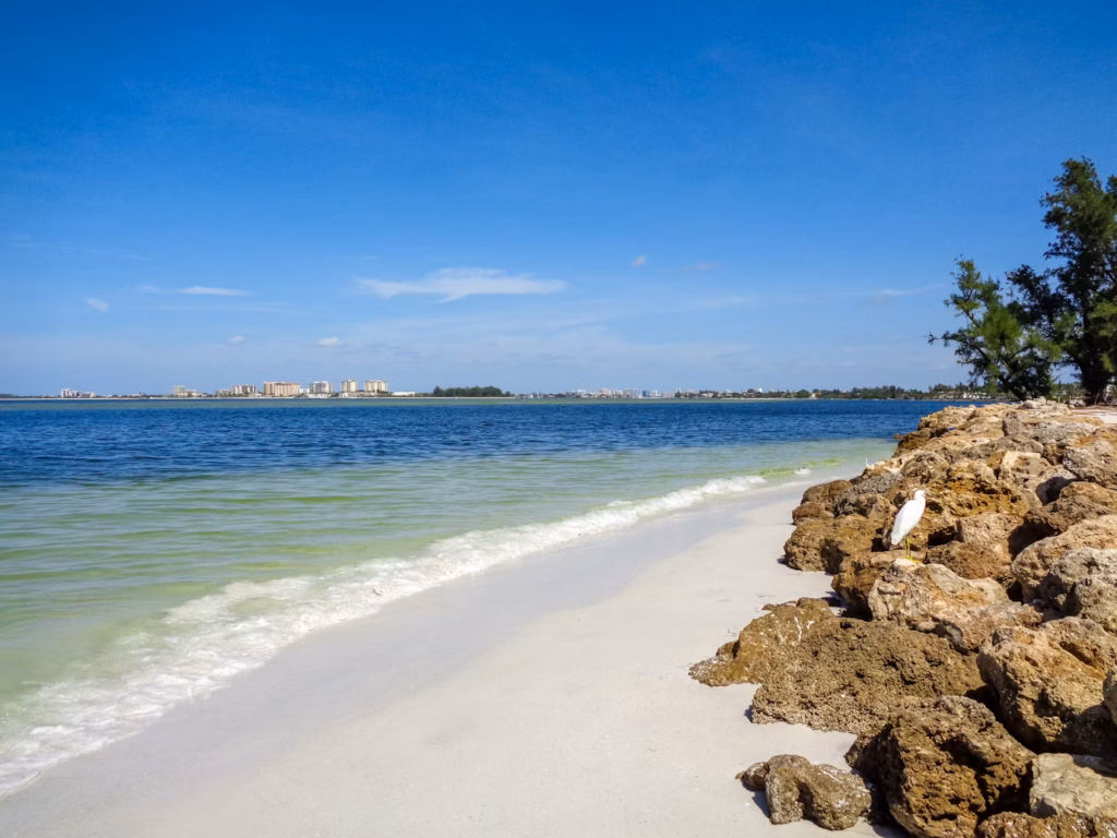A beautiful view of the the beach's ocean mixed with the  presence of the sand, rocks, and trees.