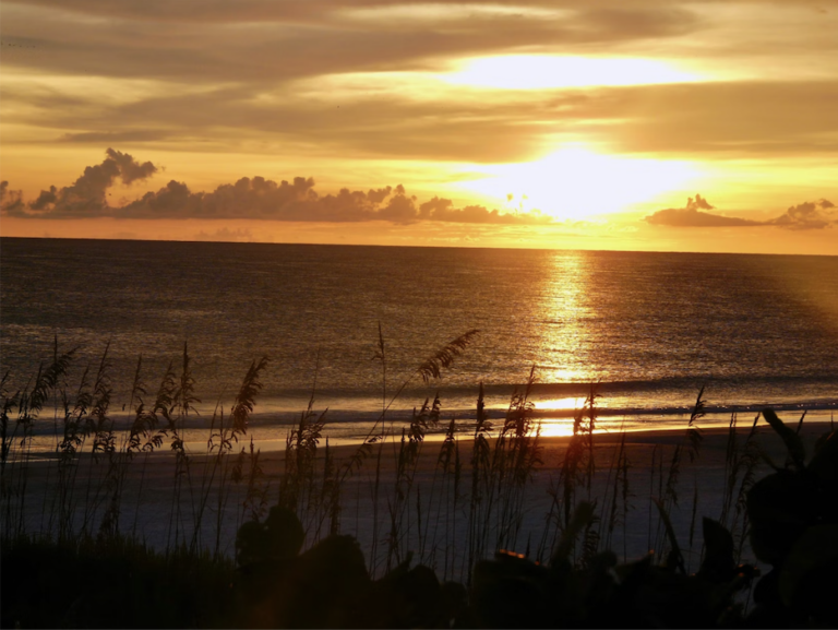 Screenshot 2026 04 01 at 3.48.43 PM 768x577