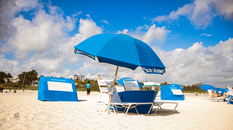 photo 1619015152477 ec754d79fc95 768x428