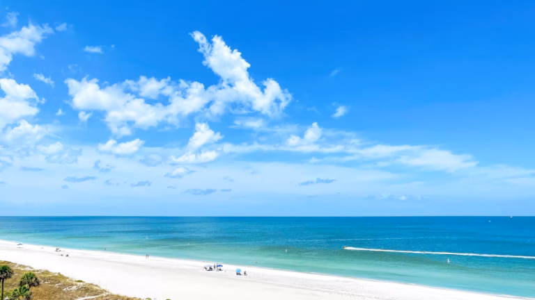 photo 1636937400111 f08d1fe8af2b 768x432