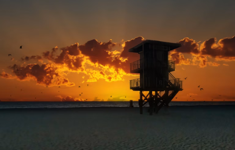 photo 1689509974399 df71f374b4a0 768x490