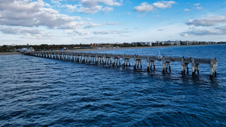 photo 1712026258067 edfb87fe51aa 768x432