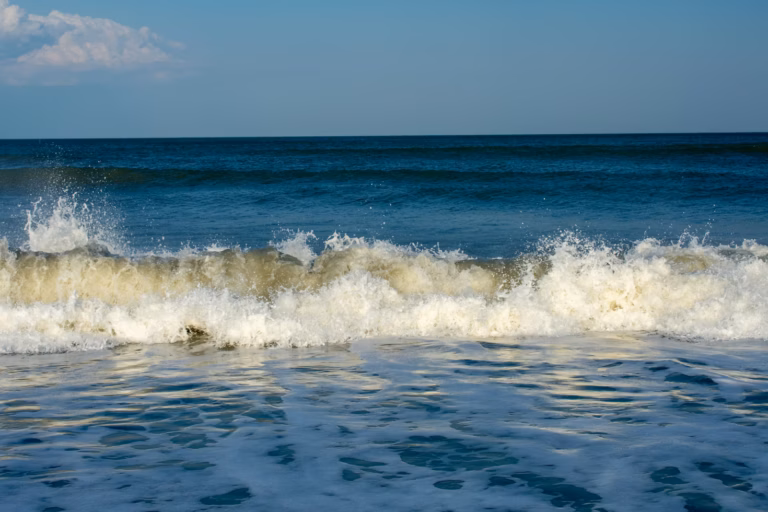 photo 1745701086820 ae91b5c6ff74 768x512